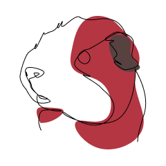 Strichgrafik Meerschweinchen